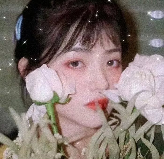 命运拳台